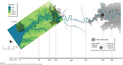 Carbon Dynamics Along the Seine River Network: Insight From a Coupled Estuarine/River Modeling Approach